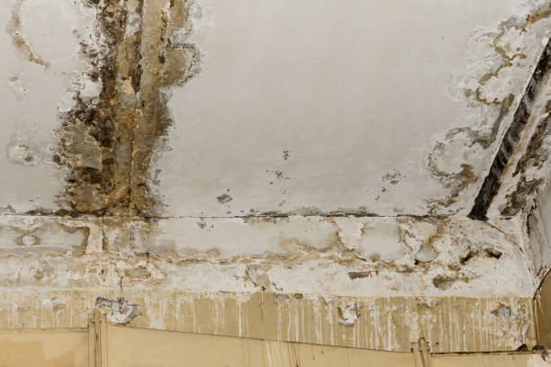 Professional Water damage restoration in Keys, OK